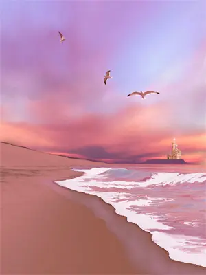 海贼王无敌小说完结