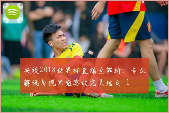 央视2018世界杯直播全解析：专业解说与视觉盛宴的完美结合_1