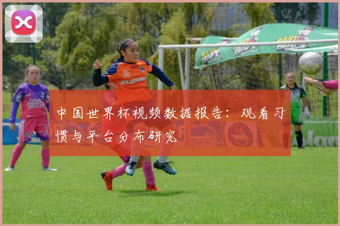 中国世界杯视频数据报告：观看习惯与平台分布研究