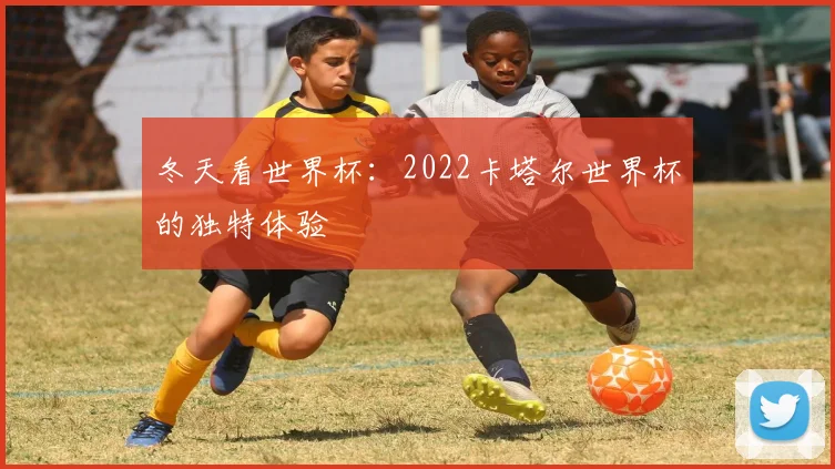 冬天看世界杯:2022卡塔尔世界杯的独特体验