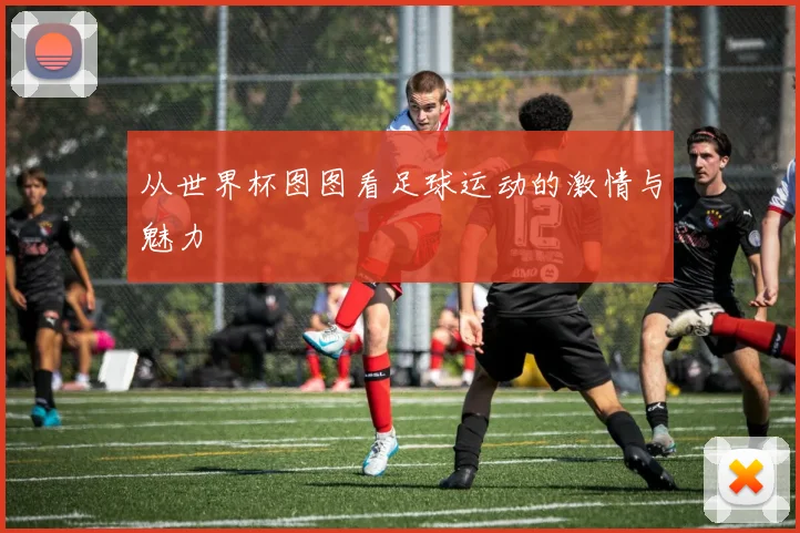 从世界杯图图看足球运动的激情与魅力