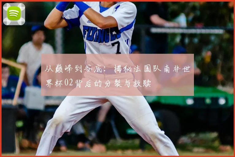 从巅峰到谷底：揭秘法国队南非世界杯02背后的分裂与救赎