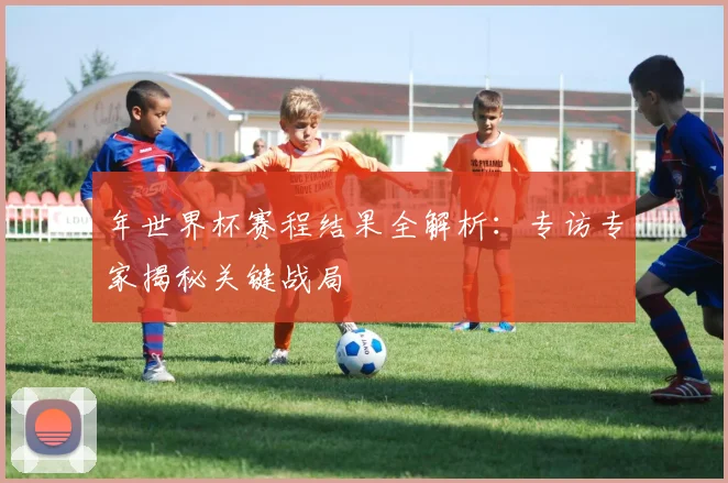 年世界杯赛程结果全解析：专访专家揭秘关键战局