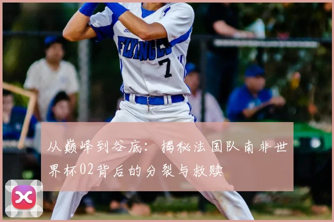 从巅峰到谷底：揭秘法国队南非世界杯02背后的分裂与救赎