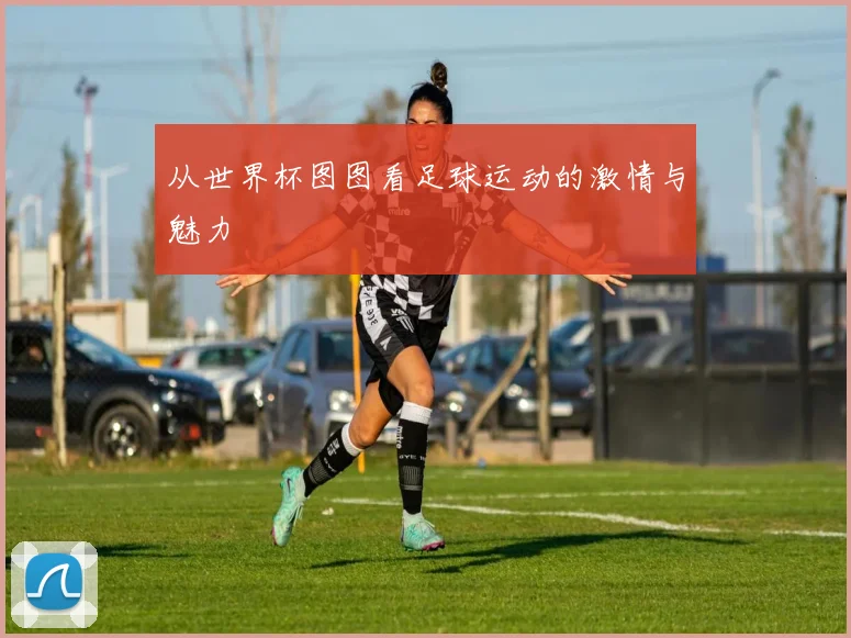 从世界杯图图看足球运动的激情与魅力